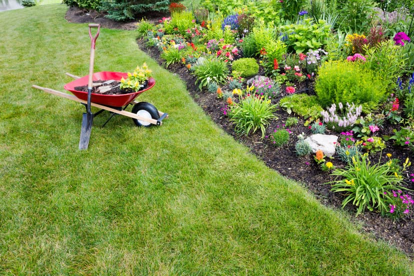 Réalisation jardin
