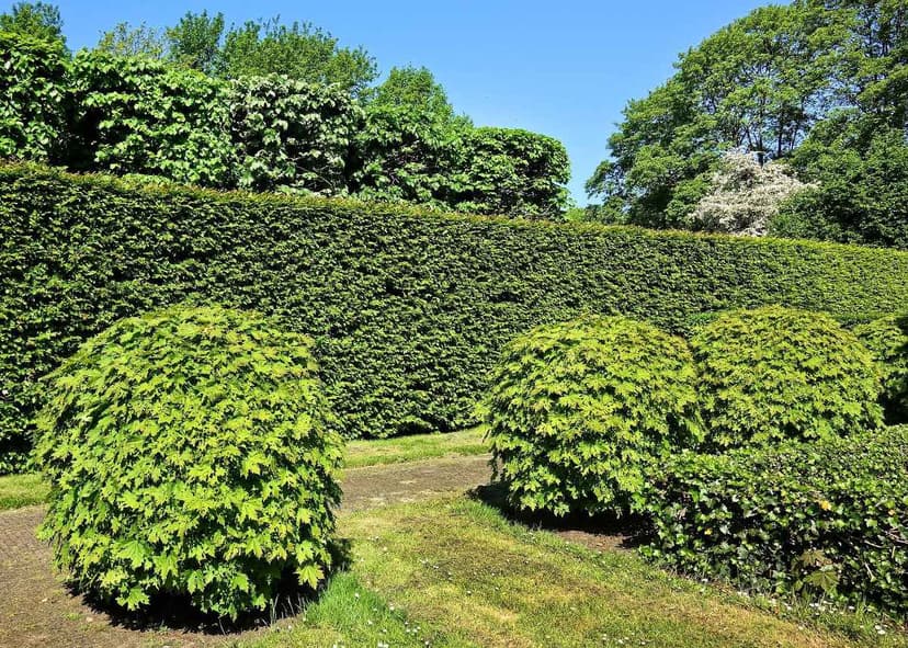 Réalisation jardin