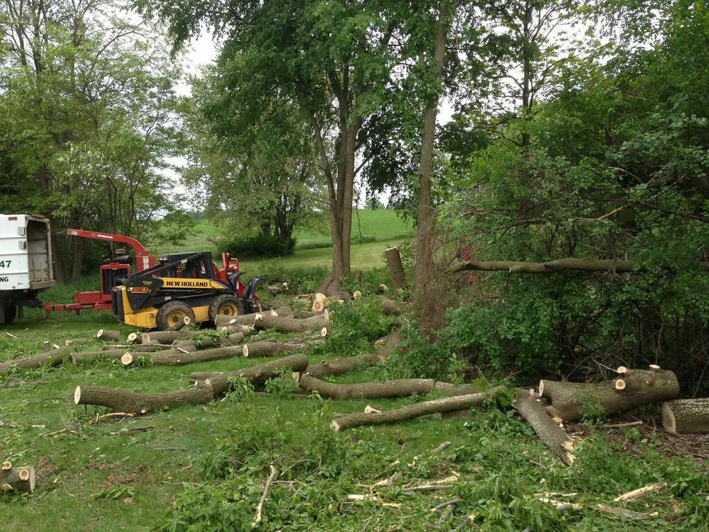 garden renovation wezembeek-oppem